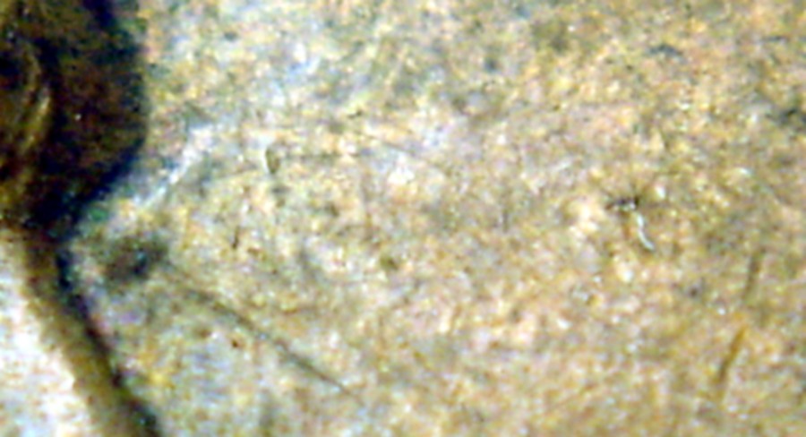 1946-P-LMC---Dot-By-Left-Eyebrow-Area.